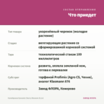 Калибрахоа Eyeconic Cherry Blossom (0,1л) — что приедет