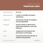 Калибрахоа Eyeconic Peach (0,1л) — параметры сорта