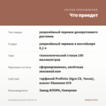 Калибрахоа Eyeconic Peach (0,1л) — что приедет