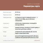 Калибрахоа Eyeconic Peach (0,1л) — параметры сорта