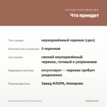 Калибрахоа Eyeconic Peach (срезы/5шт) — что приедет