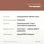 Калибрахоа Eyeconic Peach (срезы/5шт) — что приедет
