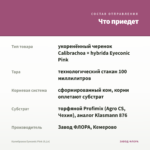 Калибрахоа Eyeconic Pink (0,1л) — что приедет