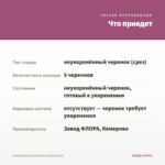 Калибрахоа Eyeconic Pink (срезы/5шт) — что приедет