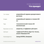 Калибрахоа Eyeconic Purple (0,1л) — что приедет