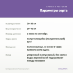 Калибрахоа Eyeconic Purple (срезы/5шт) — параметры сорта
