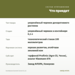 Калибрахоа Eyeconic Sunset (0,1л) — что приедет