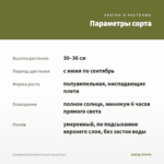 Калибрахоа Eyeconic Sunset (срезы/5шт) — параметры сорта