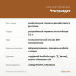 Калибрахоа Hula Gold Medal (0,1л) — что приедет
