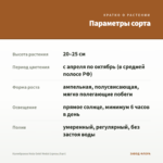 Калибрахоа Hula Gold Medal (срезы/5шт) — параметры сорта