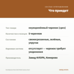 Калибрахоа Hula Gold Medal (срезы/5шт) — что приедет