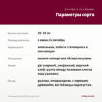 Калибрахоа Hula Soft Pink (срезы 5 шт) — параметры сорта