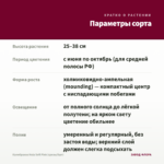 Калибрахоа Hula Soft Pink (срезы/5шт) — параметры сорта