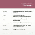 Калибрахоа Hula Strawberry (0,1л) — что приедет