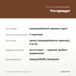 Калибрахоа Hula Strawberry (срезы 5 шт) — что приедет