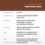 Калибрахоа Hula Strawberry (срезы/5шт) — параметры сорта