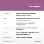 КАЛИБРАХОА ILLUSION (0,1л) — что приедет