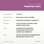 КАЛИБРАХОА ILLUSION (0,1л) — параметры сорта