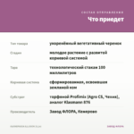 КАЛИБРАХОА ILLUSION (0,1л) — что приедет