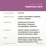 КАЛИБРАХОА ILLUSION (срез/5шт) — параметры сорта