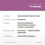 КАЛИБРАХОА ILLUSION (срез/5шт) — что приедет