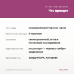 Калибрахоа Kali Coral Improved (срезы 5 шт) — что приедет