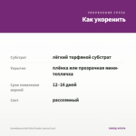 Калибрахоа Kali Ultra Purple (срезы/5 шт) — как укоренить черенок
