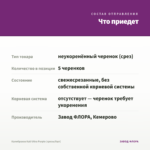 Калибрахоа Kali Ultra Purple (срезы/5шт) — что приедет