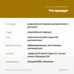 Калибрахоа LIA Abstract Lemon Cherry (0,1л) — что приедет