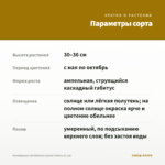 Калибрахоа LIA Abstract Lemon Cherry (0,1л) — параметры сорта