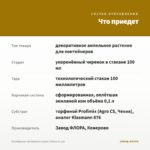 Калибрахоа LIA Abstract Lemon Cherry (0,1л) — что приедет