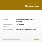 Калибрахоа LIA Abstract Lemon Cherry (срез/5шт) — как укоренить черенок