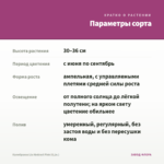 Калибрахоа Lia Abstract Pink (0,1л.) — параметры сорта