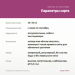 Калибрахоа Lia Abstract Pink (срез/5шт) — параметры сорта