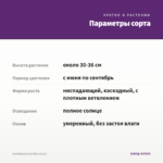 Калибрахоа Lia Blue (0,1л) — параметры сорта