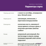 Калибрахоа Lia Blue (0,1л) — параметры сорта