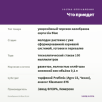 Калибрахоа Lia Blue (0,1л) — что приедет