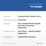 Калибрахоа Lia Blue (срезы/5шт) — что приедет