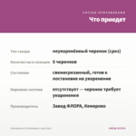 Калибрахоа Lia Bubblegum (срез/5шт) — что приедет