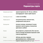 Калибрахоа Lia Bubblegum (срезы/5шт) — параметры сорта