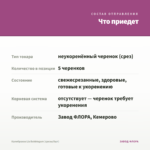 Калибрахоа Lia Bubblegum (срезы/5шт) — что приедет