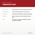 Калибрахоа Lia Chili Pepper (0,1л) — параметры сорта