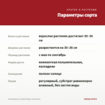 Калибрахоа Lia Chili Pepper (срез/5шт) — параметры сорта