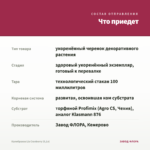Калибрахоа Lia Cranberry (0,1л) — что приедет