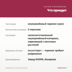 Калибрахоа Lia Cranberry (срезы/5шт) — что приедет