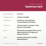 Калибрахоа Lia Cranberry (срезы/5шт) — параметры сорта