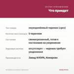 Калибрахоа Lia Cranberry (срезы/5шт) — что приедет