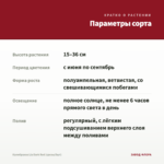 Калибрахоа Lia Dark Red (срезы/5шт) — параметры сорта