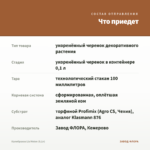 Калибрахоа Lia Melon (0,1л) — что приедет