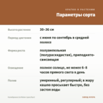 Калибрахоа Lia Melon (срез/5шт) — параметры сорта